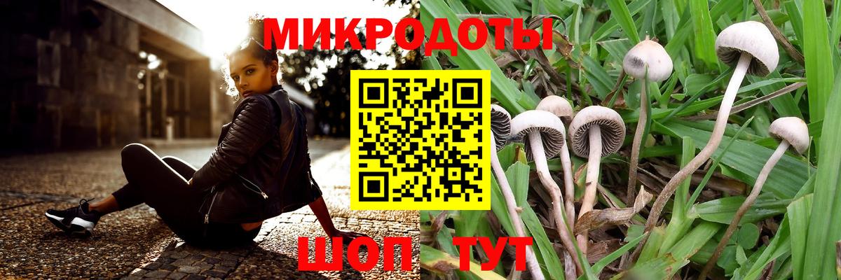 Псилоцибиновые грибы мухоморы Дедовск