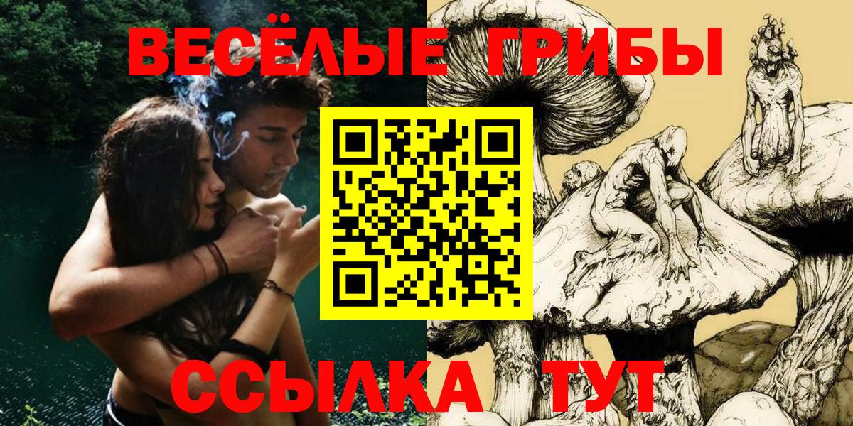 Псилоцибиновые грибы Psilocybe  Вход с VPN  Дедовск 